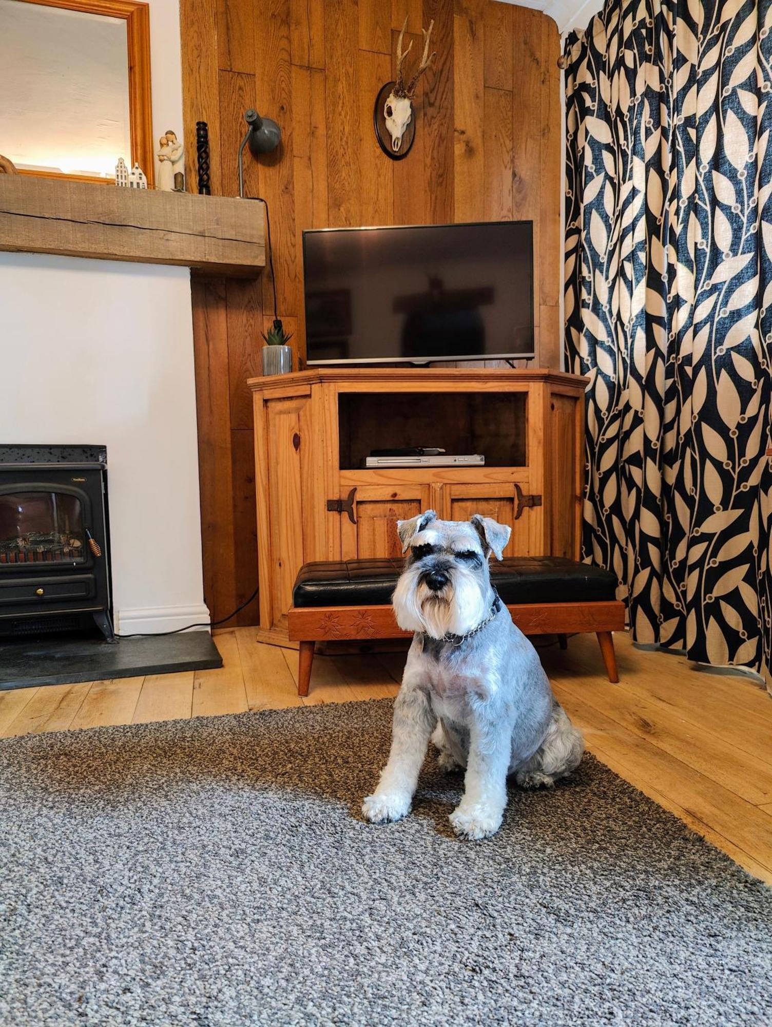 Pitcaithly Cottage Abernethy Extérieur photo